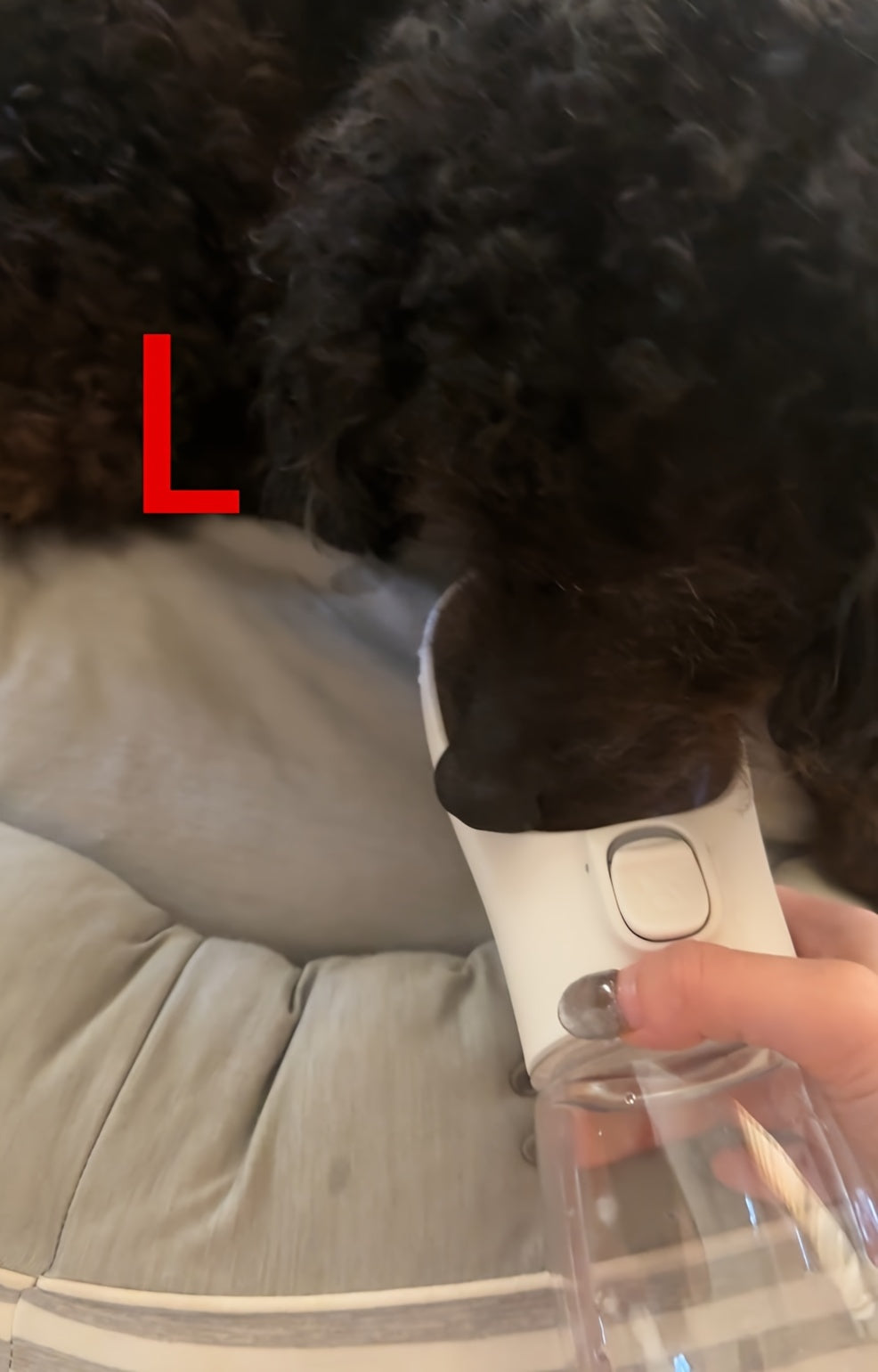 Leak-Proof Portable Dog Water Dispenser for Walking and Travel - Keep Your Pet Hydrated On-The-Go